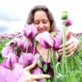 Iris in einem Meer von pinken Mohnblumen